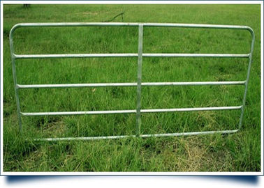 China Tragbare Rohr-Größe des Vieh-Platten-Zaun-langlebigen Gutes 33.4x1.6mm für das Anheben des Viehbestandes fournisseur